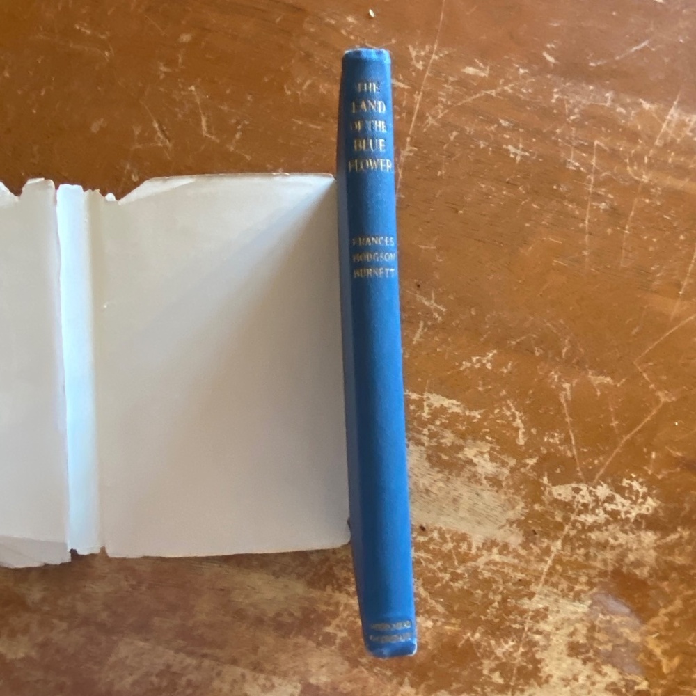 Dodd Mead Blue Cloth Embossed Hardcover Book Vintage 1924 Coffee Table - Picture 13 of 16